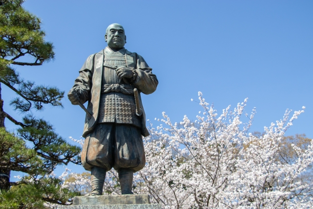 徳川家康と桜